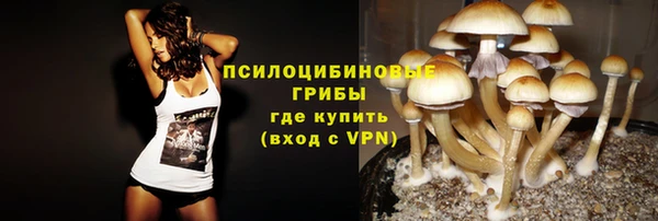 дживик Волоколамск