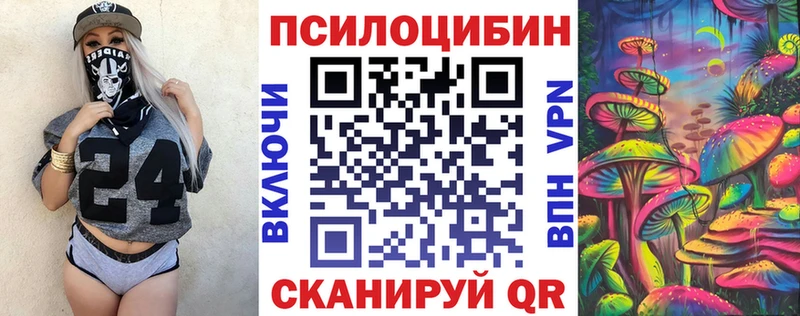 ОМГ ОМГ вход  Находка  Псилоцибиновые грибы Psilocybine cubensis 
